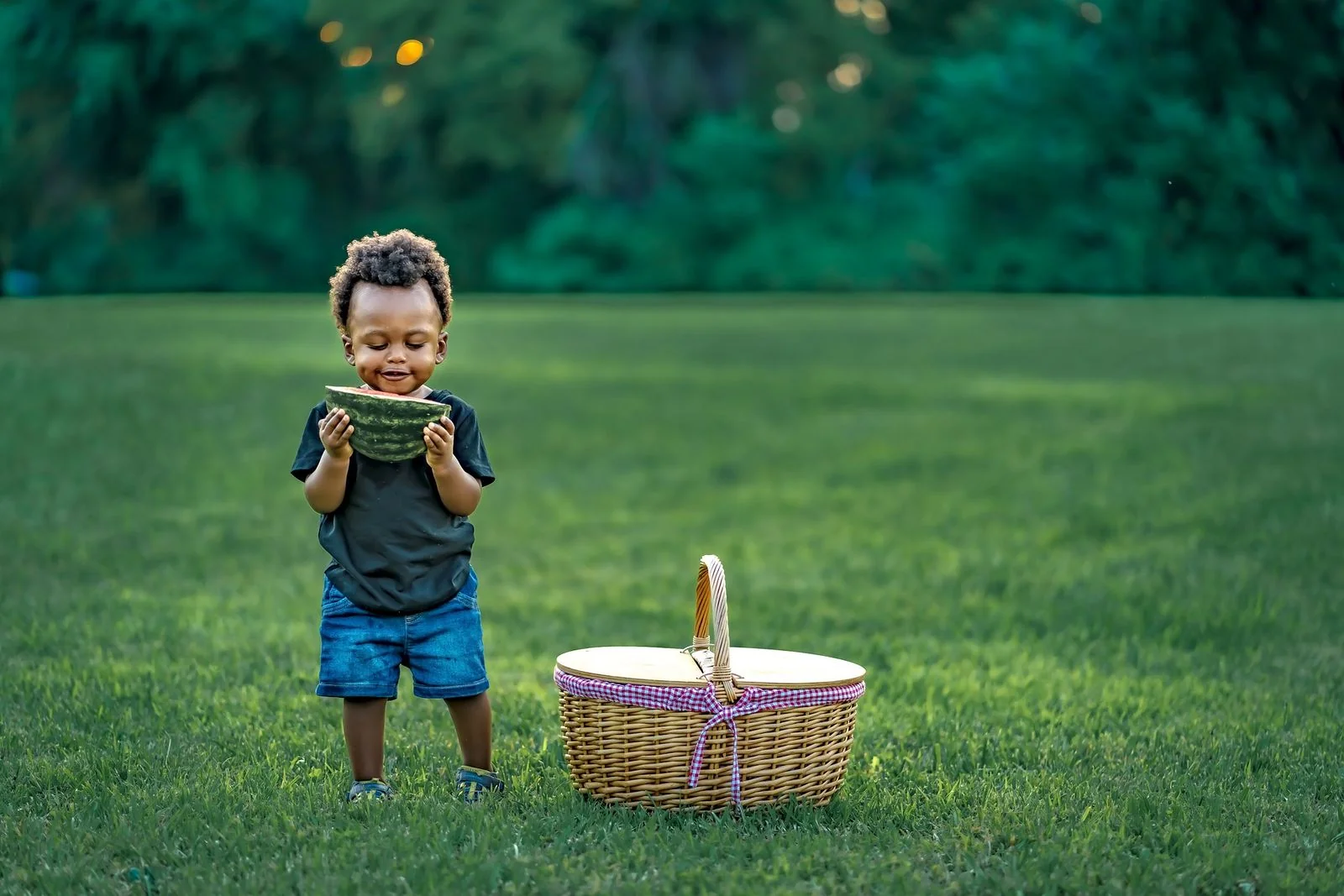 Essentials Feeding & Nutrition