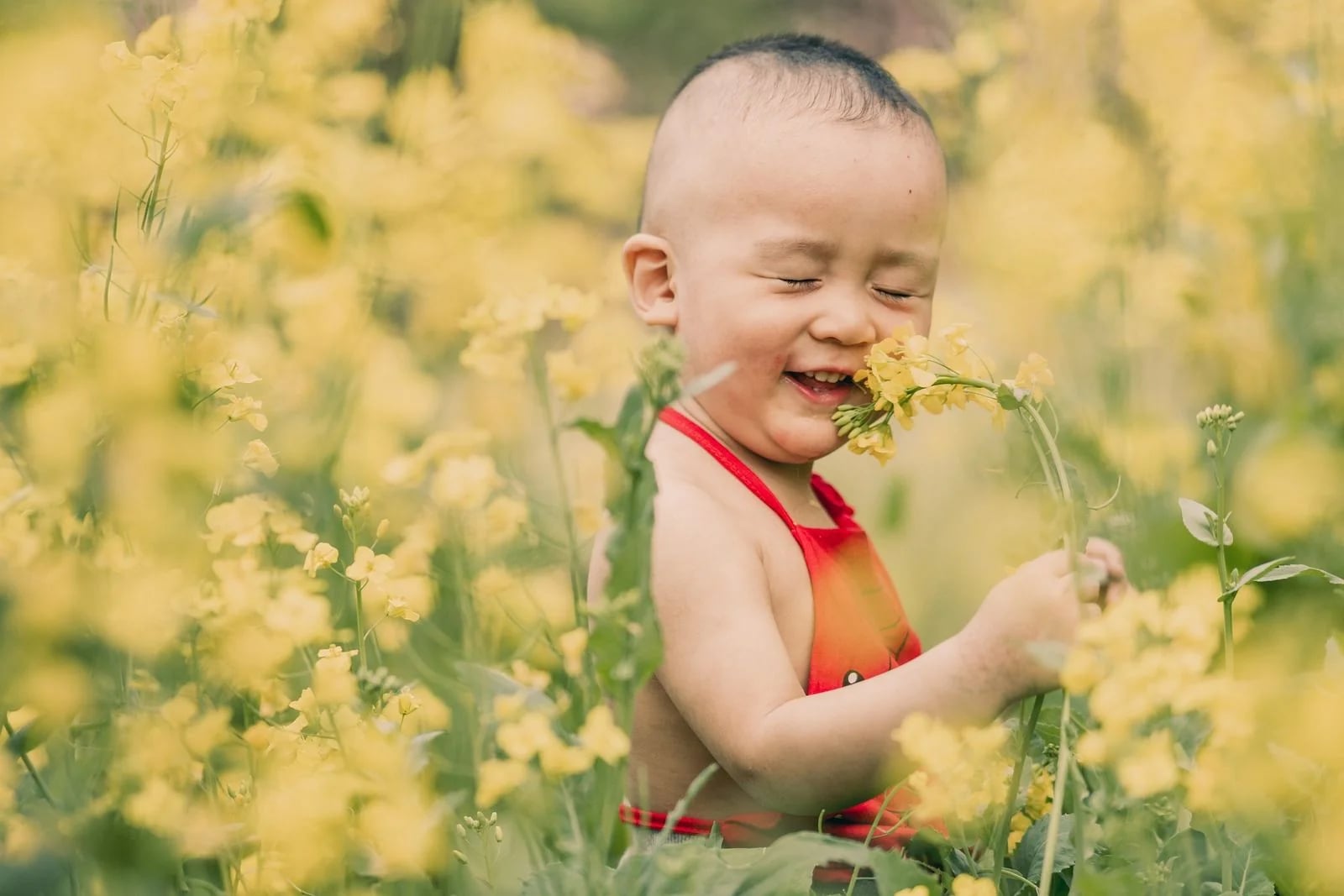 Raising Happy Toddlers