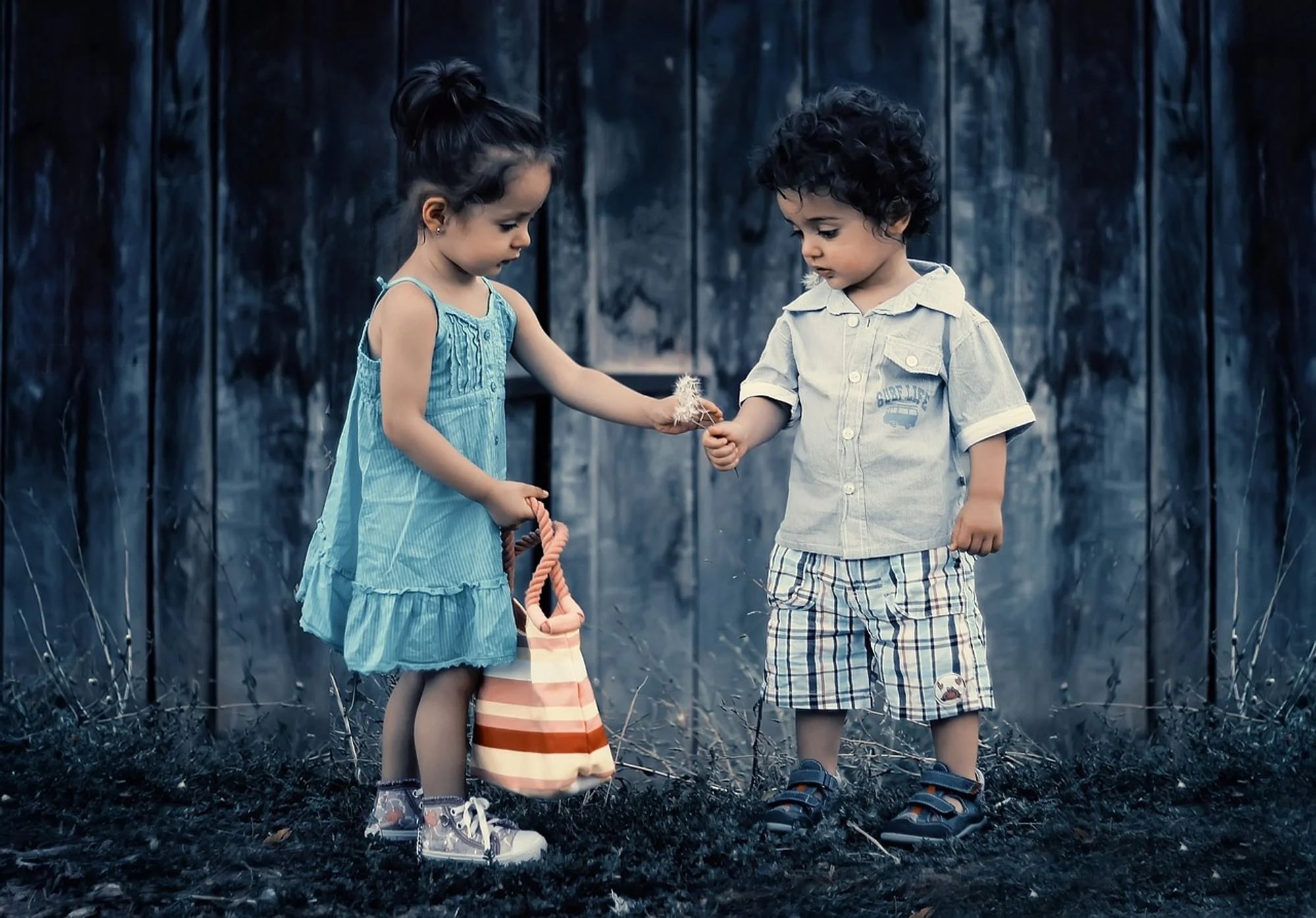 Navigating Sibling Rivalry