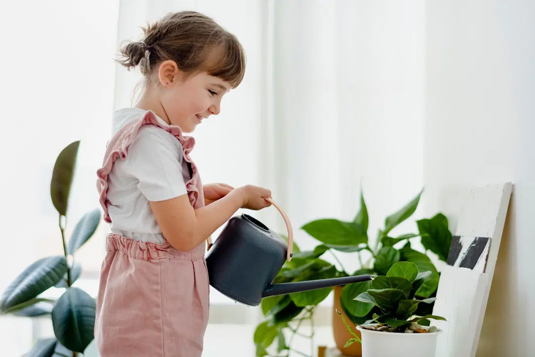 Teaching Toddlers Simple Chores