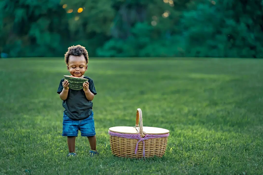 Essentials Feeding & Nutrition
